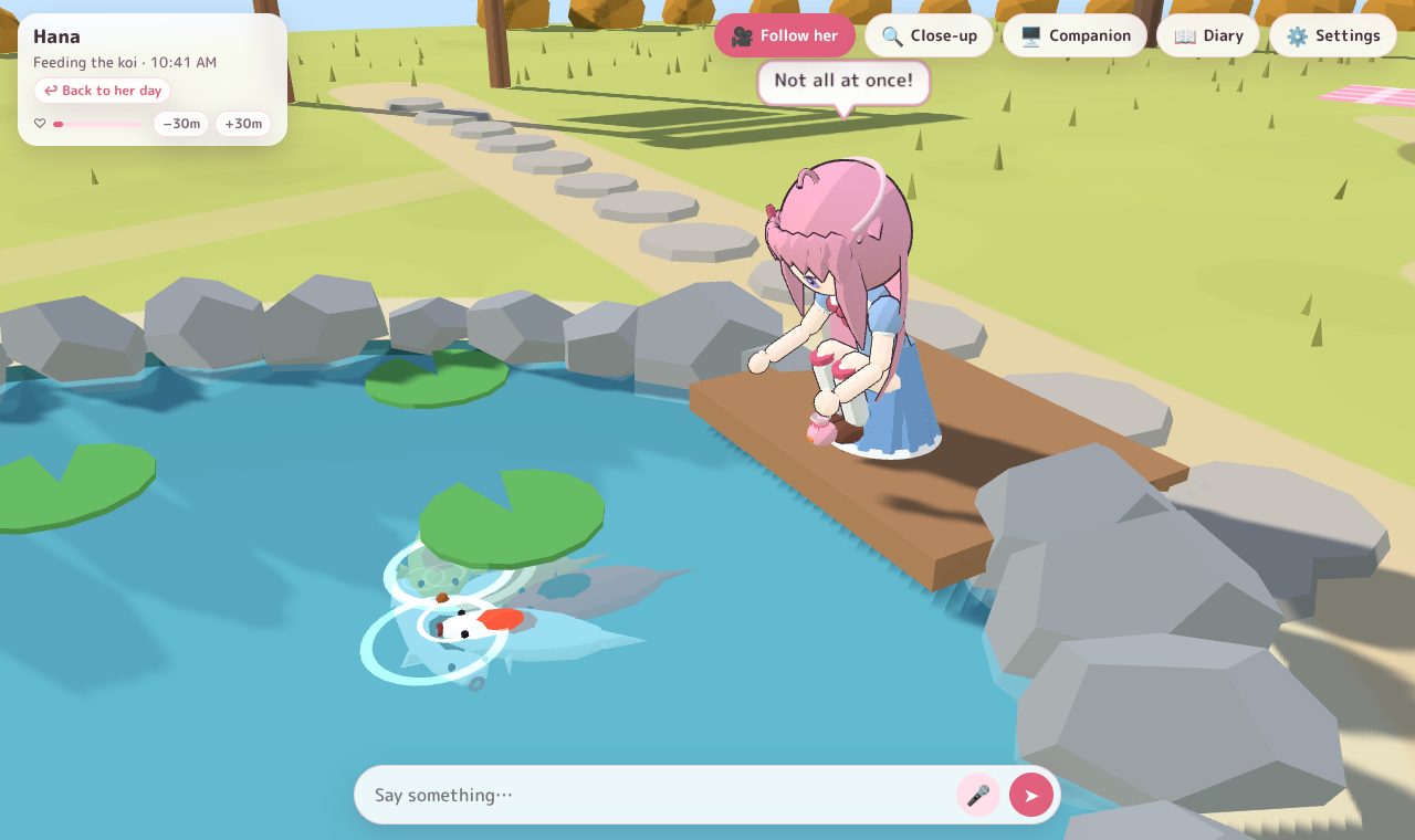 Hana kneeling on the dock, feeding the koi